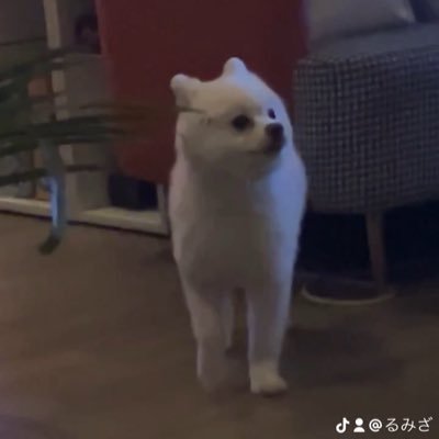 ざざざー