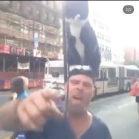 updog (@alteredyogurt) 's Twitter Profile
