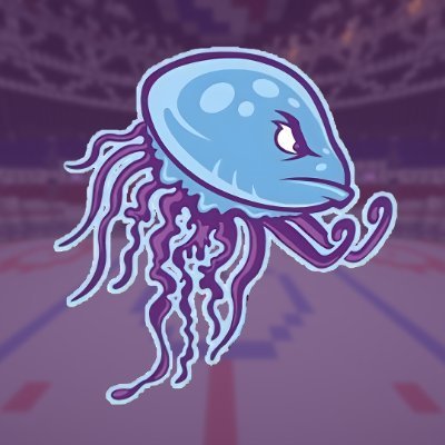 The official Twitter account the (Minecraft Hockey) jacksonville jellyfish of the jbhl