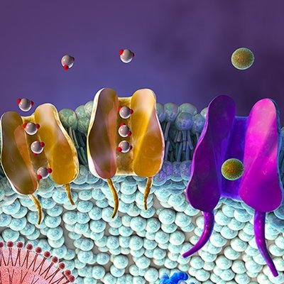 #AIME is a research & training hub for translational membrane science @AstonUniversity funded by @UKRI_News @ResEngland.

https://t.co/P5Z6jPAhN0