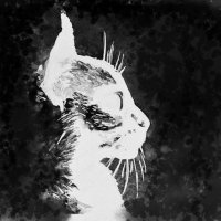 Tetiana @taqa.bsky.social (@attempt2art) 's Twitter Profile Photo Tetiana @taqa.bsky.social (@attempt2art) 's Twitter Profile Photo
