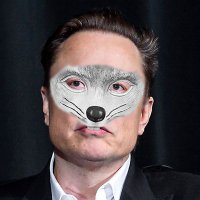 Elon MuskRat(@ItWillBeOk_Ok) 's Twitter Profileg