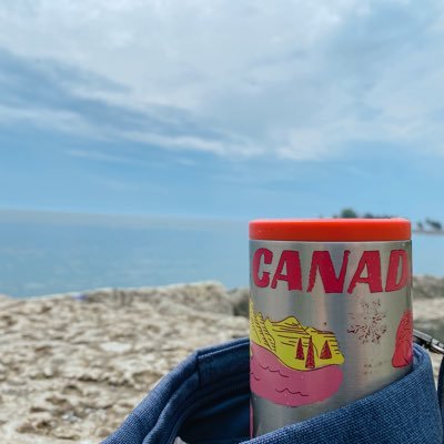 海外生活難航メモ(ほぼぼやき) ポスグラ中🤸🇨🇦4年目突入。大学卒→社会人→ワーホリ→公立College一通り経験。アラサーで始めた夢見た海外生活、現実は厳しい。夢と目標は高く←