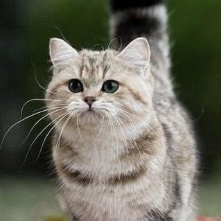 BeverleyWo69809's profile picture. Love life, sunsets and justice.