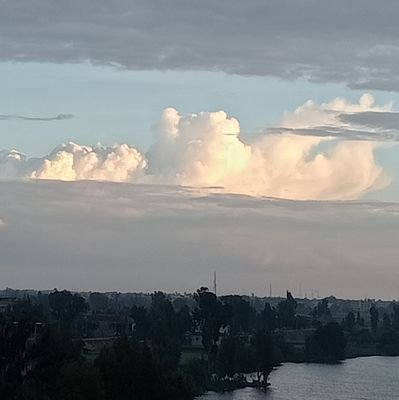 Mohamed98917654's profile picture. 