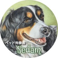 Sedamのペット肖像画(@sedam_life) 's Twitter Profile Photo