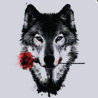 Il lupo cattivo esiste solo nelle favole. Quello cattivo è l'uomo e spesso senza motivo. Viva il lupo.