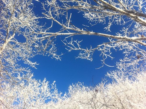 vinc3333's profile picture. 