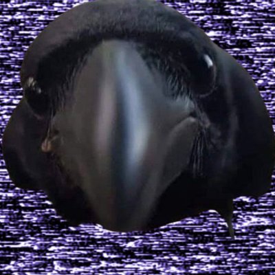 ErickSantosS12's profile picture. 🟡 ISFP-T  | 👤 22 yrs old | 🧾 QA Tester & Software Developer