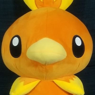 新日本にはまった勢いでプロレスの感想を好き勝手に呟きまくる為に作ったアカウントです。
内藤選手、BUSHI選手、ヒロム選手、辻選手、海野選手を推してます!
嫌いなものは袈裟まで嫌う性質なので気を付けてください。基本的にふせったーは猛毒