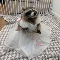 joan (@_j00an) 's Twitter Profile