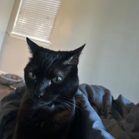 Forever DM (@drplatonist1) 's Twitter Profile Photo