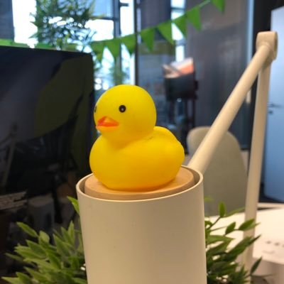 theduckofgod's profile picture. 