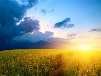 Reformation21C's profile picture. 