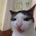 DUCKILTON THE FIRST (@grace979177741) Twitter profile photo