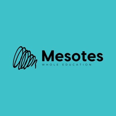 MesotesEdu Profile Picture