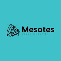 Mesotes(@MesotesEdu) 's Twitter Profile Photo