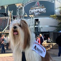 Zeus the AZ Diamondbacks Dog(@dbacksdogzeus) 's Twitter Profile Photo