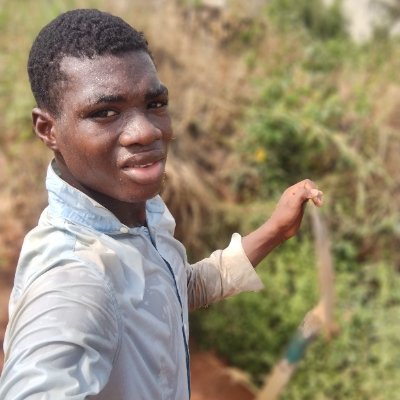 AbrahamAyebo's profile picture. 