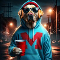 Ole Miss Is Okay (@reb_kc) 's Twitter Profile