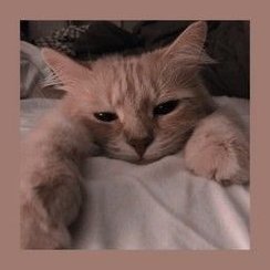 Mercede05935442's profile picture. :) xd