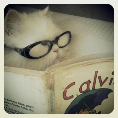 I’m very silly :3 II Shedtw