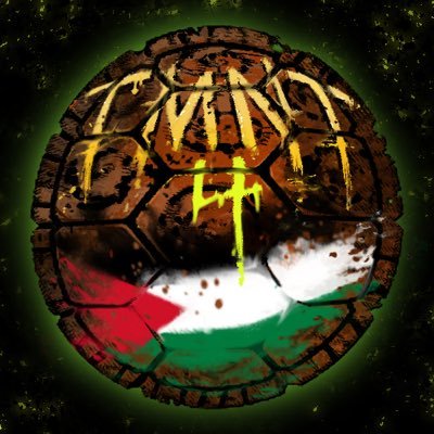 TMNT4P is a community-run fundraiser for @theIMEU to Palestine. More info can be found in the pinned carrd.