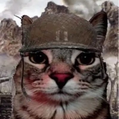 Dialectiod's profile picture. Yo mama