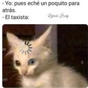 Leo manuel - @LeoManuel4532 - Twitter