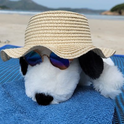 neko_s1n's profile picture. @RocketLeague,Japanese player 18yo🇯🇵×🇵🇭peak GC1