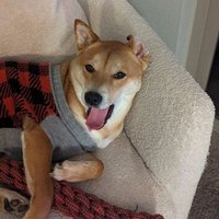 C0ffee Father? (@c0ffeefather) 's Twitter Profile