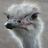 courage404's profile image