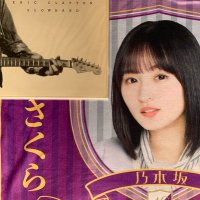 E.さくらプトン 【スローハンド坂461】(@risakomalmsteen) 's Twitter Profile Photo