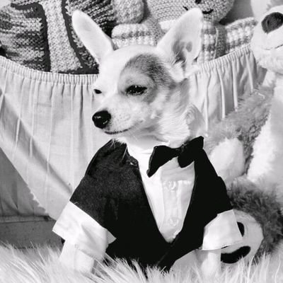 Darnie258's profile picture. Learn about Islams plan for the west.
Brigitte Gabriel
https://t.co/rFM12hQPnv
I Trust my instincts.
NO DM'S