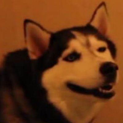 Puguii_'s profile picture. fapper ☠
𒉭                                    #T1WIN🐧