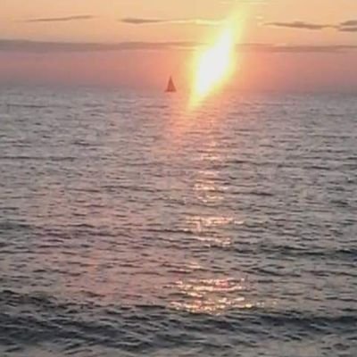 Sparkly6519's profile picture. I love beaches, sunsets & flowers 💐   
Freedom Loving Granny Anon 🐸
Certified live blood microscopist and quantum biofeedback technician.
Survivor 🙏🦾💥