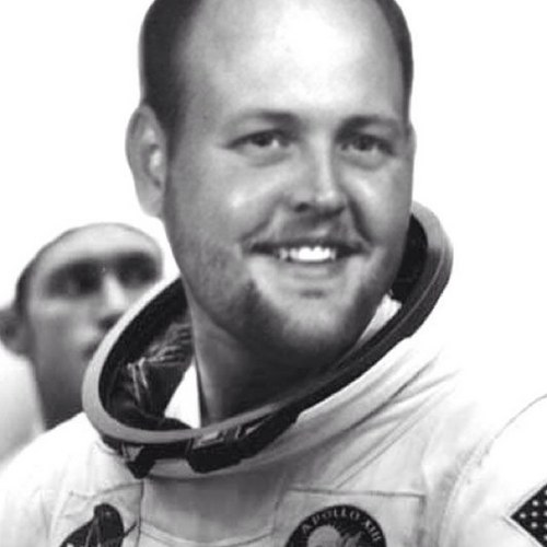 nikster61's profile picture. 