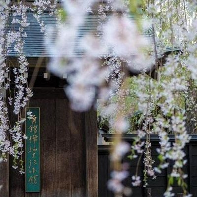 ynkkh74579458's profile picture. styiuoi