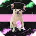 TheFlagShipHasLanded (@apeswant) Twitter profile photo