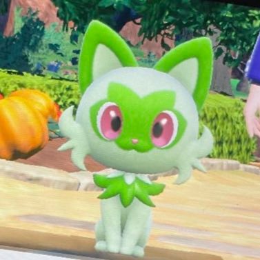 namikinaminori's profile picture. ふわふわと生きてる