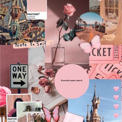 trizz_04's profile picture. study | lifestyle