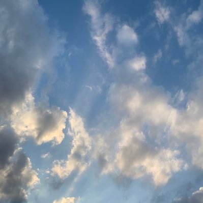 toko_engineer's profile picture. 毎日コツコツ