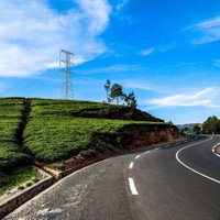 Avi (@agripineorion) 's Twitter Profile Photo