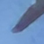 _43397's profile picture. 