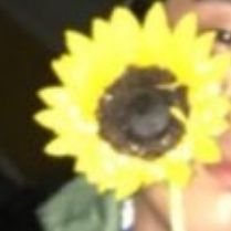 *向日葵*ページ✩.*˚ 惜別の向日葵 (Sekibetsu no Himawari) | Vocaloid Wiki | Fandom