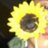 himawari___725