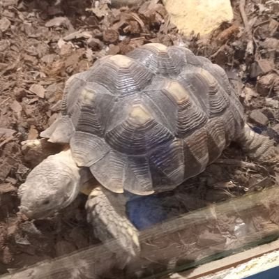 llllllll1813360's profile picture. 