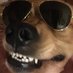 Tallest person in cyberspace (@rettiwtkcab) Twitter profile photo Tallest person in cyberspace (@rettiwtkcab) Twitter profile photo