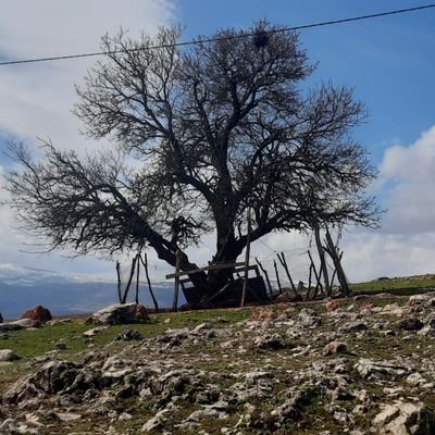 musazabun2's profile picture. “❤Memebet”