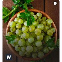Bioecomatics (@bioecomatic) 's Twitter Profile